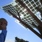 etree_founder_from_below